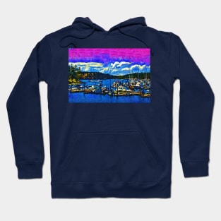 Roche Harbor Looking At Henry Island Hoodie